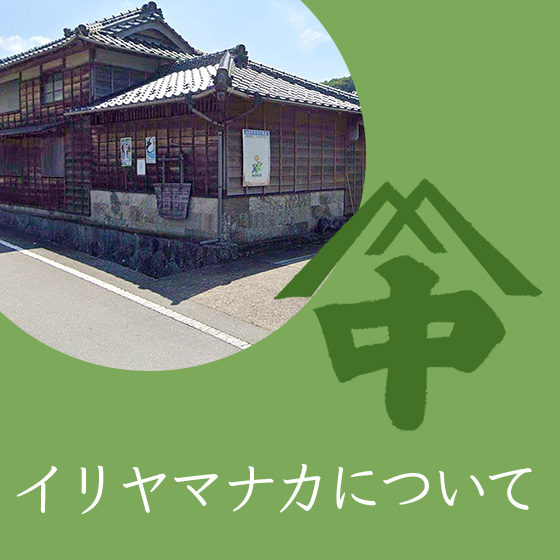 イリヤマナカについて